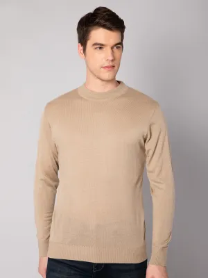 Mens Beige Sweater