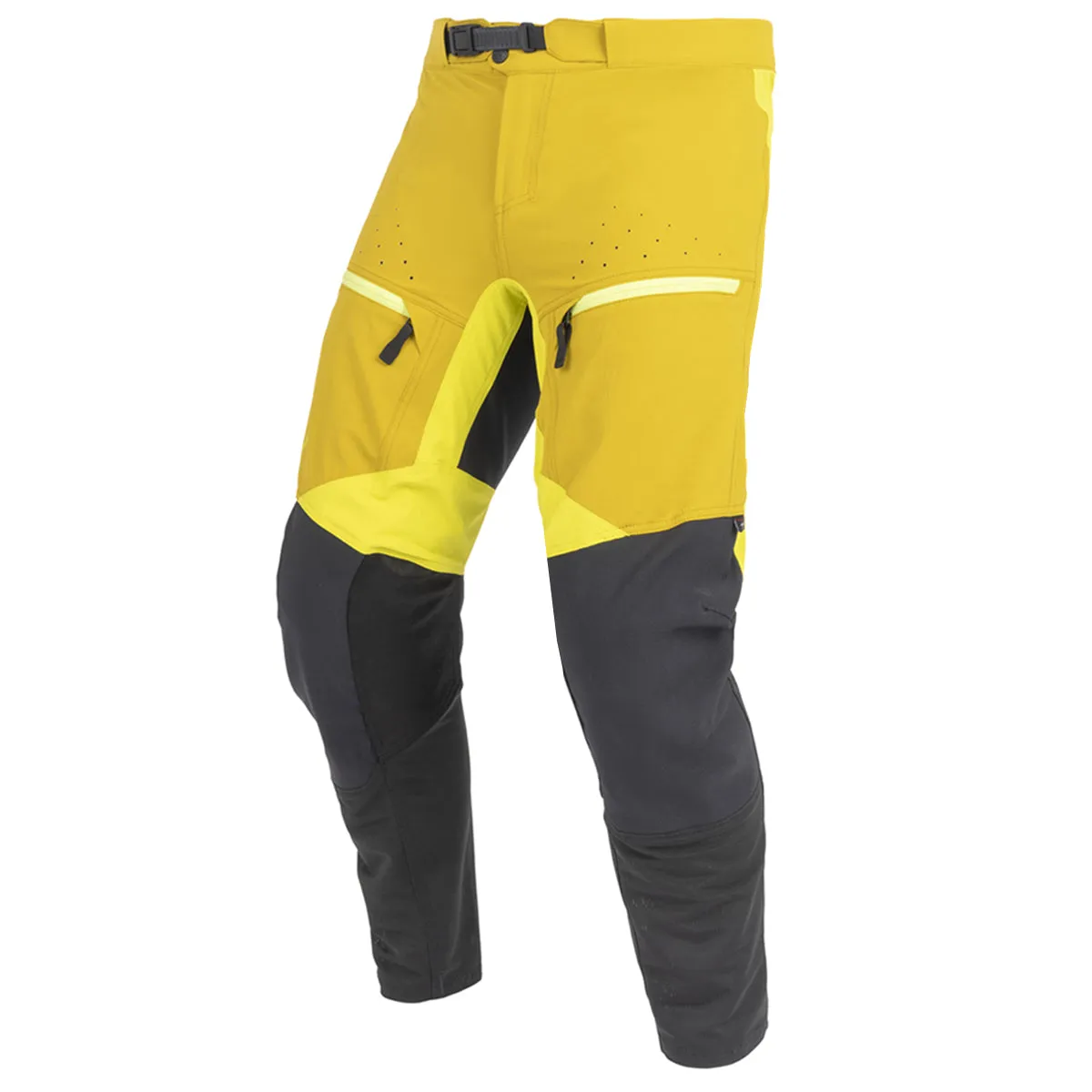 Surveyor Pant